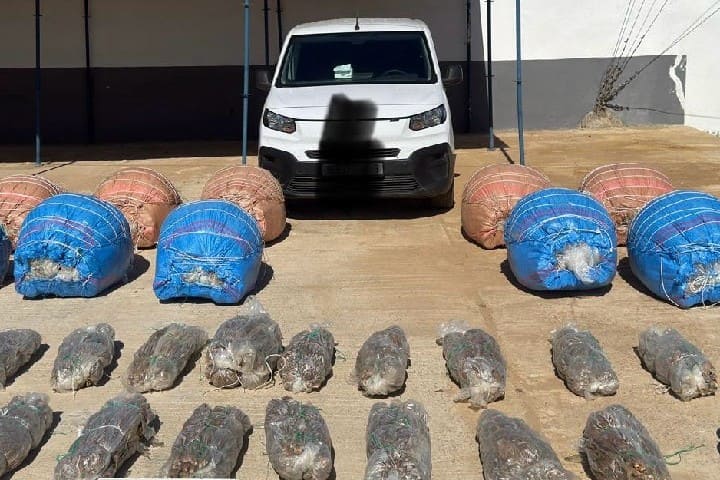 يقظة الدرك الملكي بالعوامرة تجهض محاولة ترويج أطنان من المخدرات بإقليم العرائش