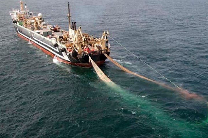 نزيف صامت في الثروة البحرية بجهة الداخلة وادي الذهب