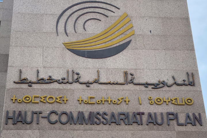 مندوبية التخطيط تكشف عن بنيات الاقتصاد غير المهيكل والنوع الاجتماعي والشيخوخة في المغرب