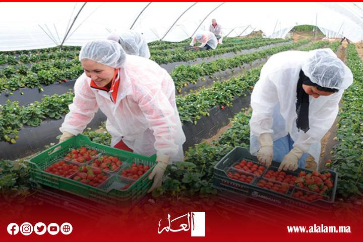 السكوري: ارتفاع عدد العاملات المغربيات في الضيعات الإسبانية إلى أكثر من 15 ألفا سنويا