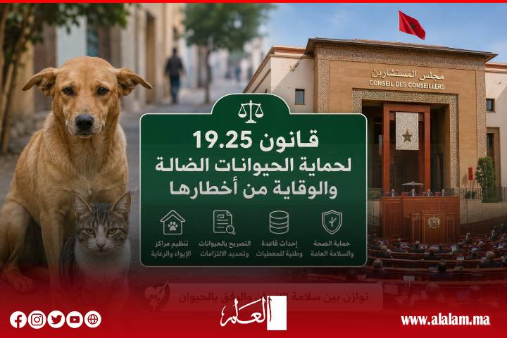 مجلس المستشارين يقر قانون حماية الحيوانات الضالة بالأغلبية.. إطار جديد لتعزيز السلامة العامة والرفق بالحيوان