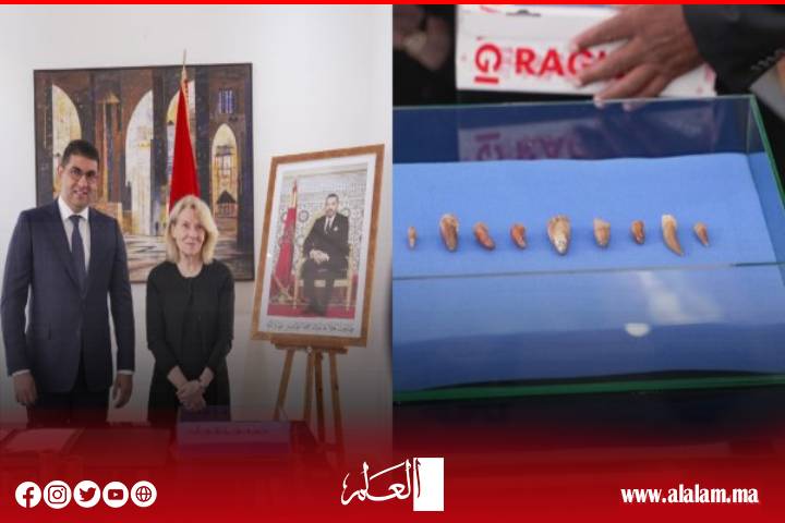 المغرب يستعيد مستحاثات نادرة تعود إلى أكثر من 66 مليون سنة بعد إحباط تهريبها بفرنسا