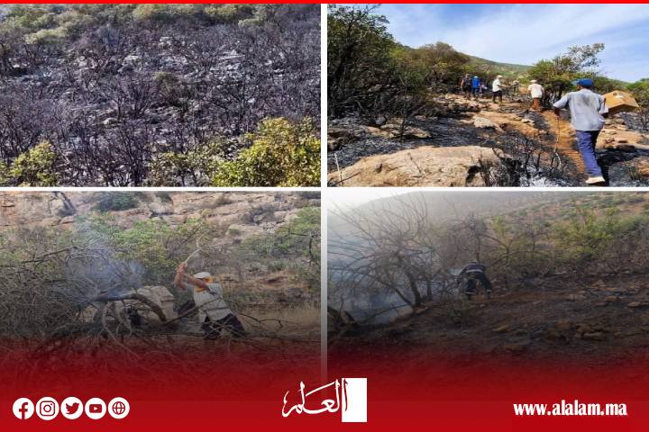 إخماد حريق غابة أيت مصاد بتيموليلت