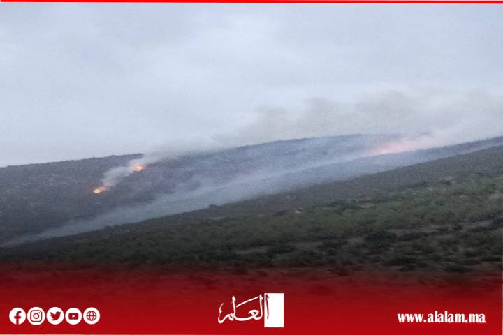 الرياح تعيد إشعال حريق أقا نتكرودين وأسولان باغرغر.. وصول تعزيزات ميدانية لمواصلة عمليات الإخماد