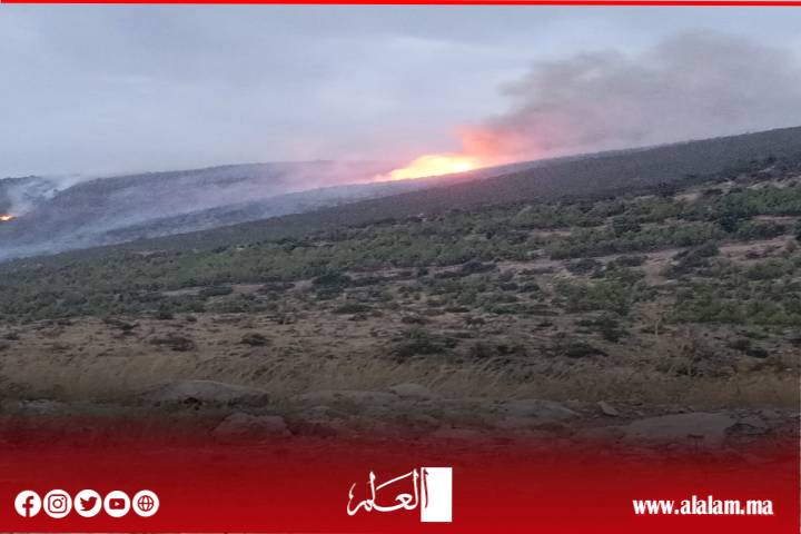 الرياح تعيد إشعال حريق أقا نتكرودين وأسولان باغرغر.. وصول تعزيزات ميدانية لمواصلة عمليات الإخماد