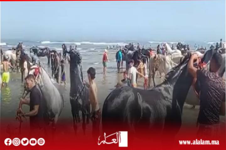 موسم مولاي عبد الله أمغار ينطلق بالجديدة.. ملايين الزوار وفروسية التبوريدة تزين المشهد وتساؤلات حول “الرعاية الملكية”