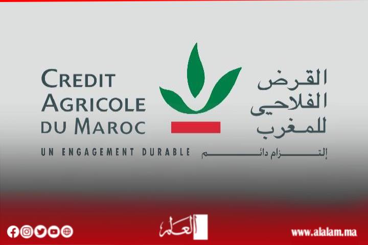 من خلال «CAM MDM – جذور وآفاق»