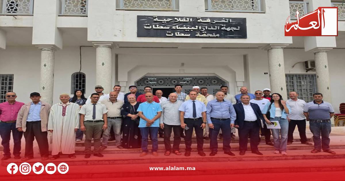 سطات.. «أونسا» والغرفة الفلاحية تتحركان لتحصين القطيع من الأمراض المعدية