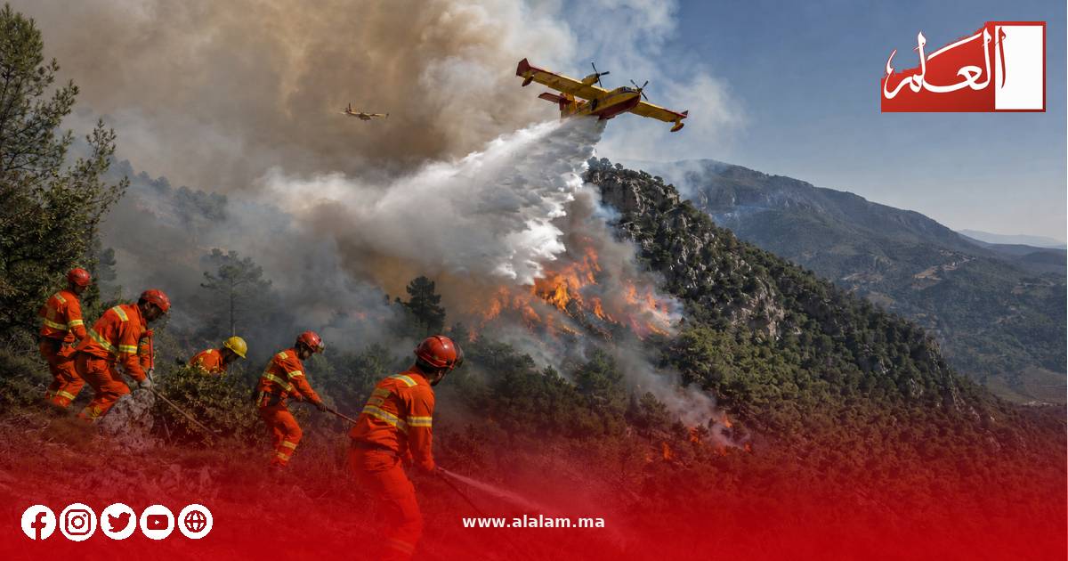 380 عنصراً يطوقون نيران تازاوت.. السيطرة على البؤر الرئيسية واستمرار معركة الإخماد بشفشاون