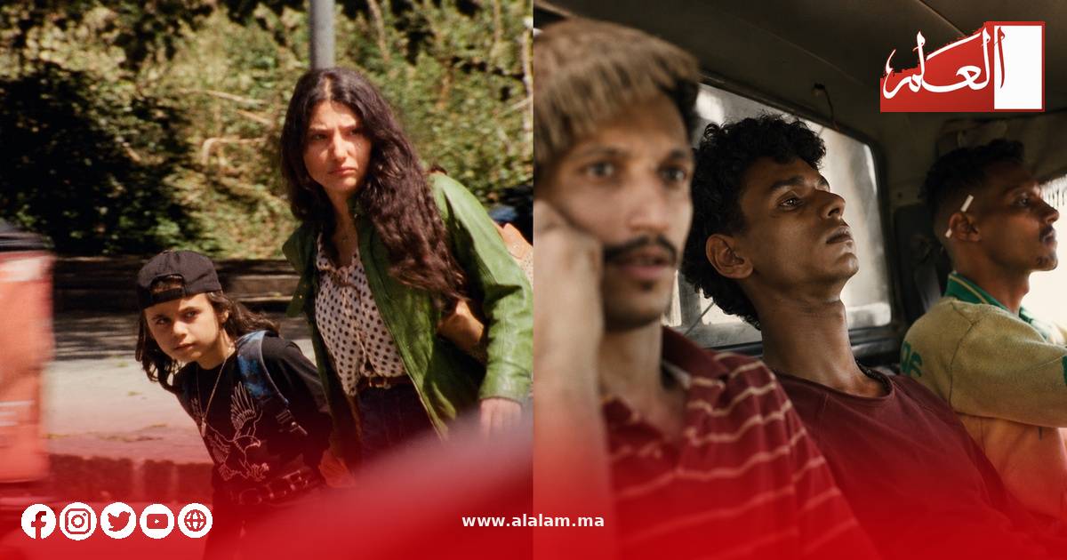حكايات إنسانية ورؤى سينمائية متنوعة على شاشة مهرجان الدوحة 2026.