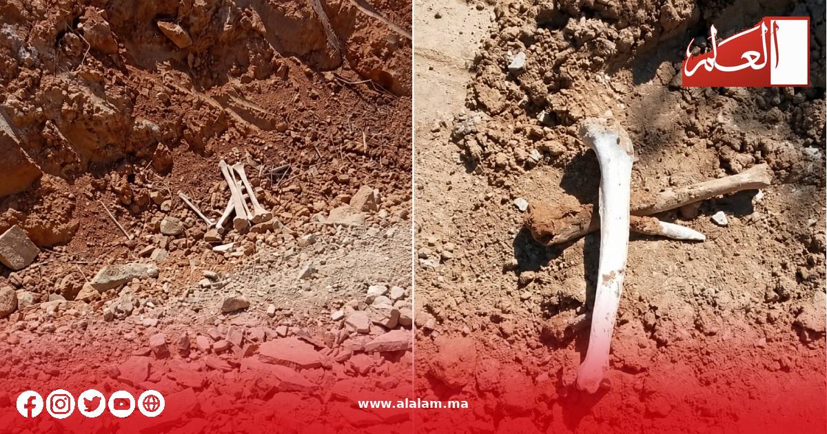 بقايا ظاهرة وسط الأتربة تنتظر المعاينة لتحديد طبيعتها وصلتها المحتملة بقبور قديمة