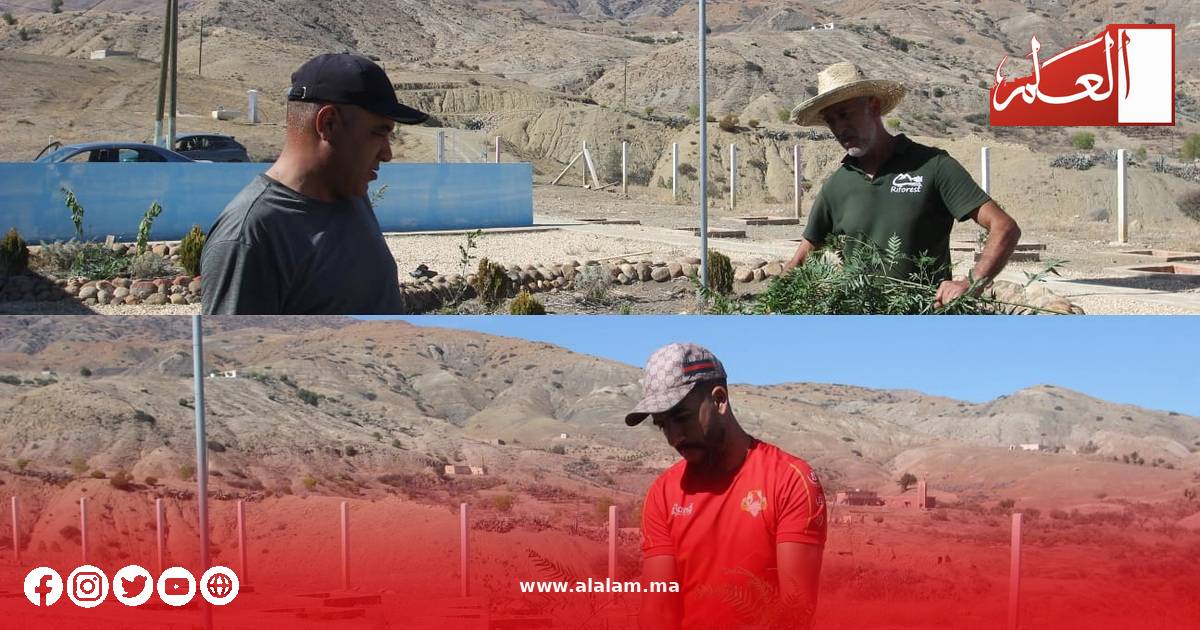 تبادل الخبرات الميدانية لتعزيز الممارسات الزراعية المستدامة