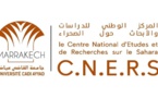 فتح باب الترشيح لنيل أول جائزة وطنية حول ديناميات المجال الصحراوي