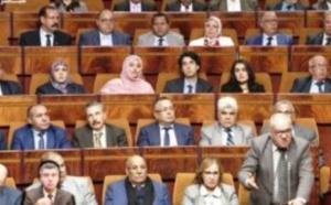 مشروعي قانون الأمازيغية والمجلس الوطني للغات بقبة البرلمان