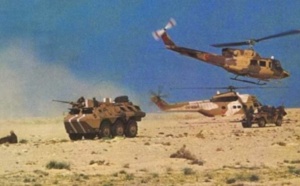 الأسد الإفريقي 21 أكبر مناورة عسكرية بالصحراء بين المغرب والولايات المتحدة