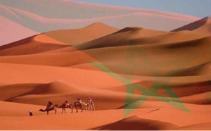 المغرب يجنح للسلم ولكنه يحمي وحدته الترابية وسلامته الإقليمية