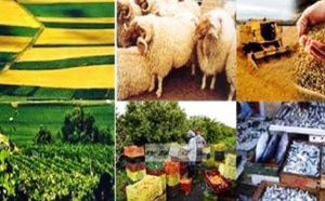 المغرب يواجه أسوأ سنة فلاحية خلال ثلاثة عقود