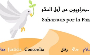 حركة صحراويون من أجل السلام تدعو للحوار وتجنب إهدار الفرص