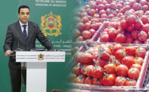 أسعار‭ ‬الطماطم‭  ‬تواصل‭ ‬الارتفاع‭ ‬وحديث‭ ‬عن‭ ‬تخفيض‭ ‬الصادرات‭