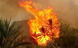 الحرارة تتسبب في اندلاع الحرائق بالمغرب