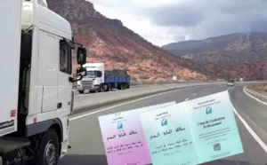 وزارة عبد الجليل تمدد في أجل الحصول على البطاقة المهنية