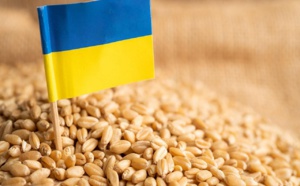 رغم الحرب: صادرات الحبوب الأوكرانية تأخذ تدريجيا وتيرة ثابتة
