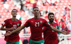 تعديل على برنامج منتخب المحليين بالدوري الدولي للنمسا 