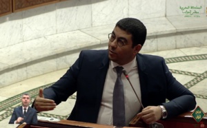 قضية "طوطو" تحدث زلزالا في مجلس النواب وبرلماني يقصف المعارضة