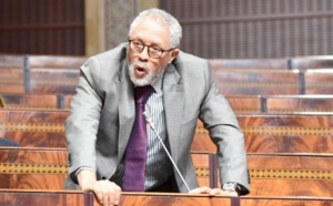 النائب البرلماني عبد الالاه امهادي 