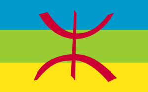 جولة جديدة لإنجاح ورش تفعيل الطابع الرسمي للأمازيغية وإدراجها في مناحي الحياة العامة المغربية