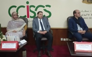 الدبلوماسية الملكية وسياسة انفتاح المقاولات المغربية على الأسواق الإفريقية