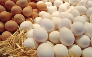 17 مليون بيضة في اليوم من أجل تغطية حاجيات موائد رمضان