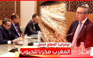 أوكرانيا تتطلع لجعل المغرب مخزنا للحبوب