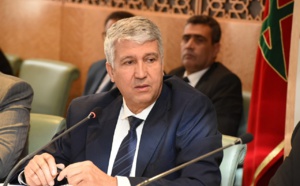 الصديقي يكشف عن ضياع ملايين الشتائل الغابوية 