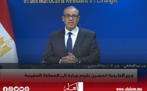 وزير الخارجية المصري: نواصل جهودنا لوقف العدوان على غزة رغم غياب الإرادة السياسية لدى إسرائيل