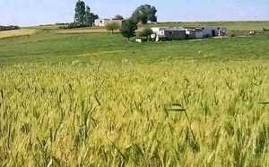على هامش المؤتمر السادس للاتحاد العام للفلاحين بالمغرب..