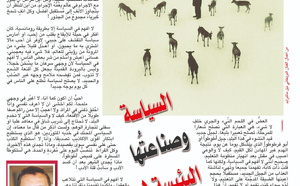 السياسة وصناعتُها البئيسة !