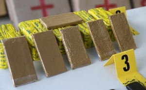 توقيف مروج للمخدرات بتارودانت