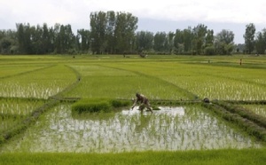 تساقطات مطرية تنعش السدود والمزروعات والجديدة وآسفي تتصدران بأعلى المعدلات