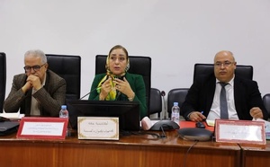 استعراض حصيلة تنفيذ المخطط الجهوي لمشروع "مؤسسات الريادة" ،بجهة طنجة تطوان الحسيمة