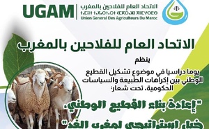 الاتحاد العام للفلاحين يتدارس ملف إعادة تشكيل القطيع الوطني