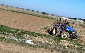 انطلاق التحضيرات للموسم الفلاحي في سهل الغرب وسط آمال كبيرة في الأمطار