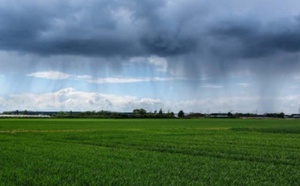 الأمطار الأخيرة تؤشر على موسم فلاحي استثنائي