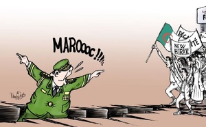 رسالة مفتوحة إلى الجزائر