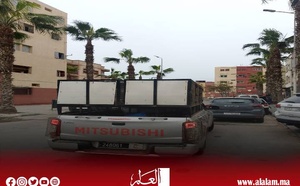 حملة لجمع الكلاب الضالة بأحد أحياء سلا استجابة سريعة وتفاعل إيجابي مع شكايات الساكنة