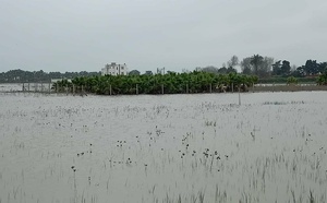 منطقة الغرب تستعد للأسوأ بفعل استمرار سوء الأحوال الجوية