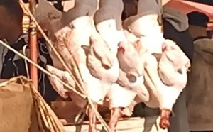 الجديدة: سوق "الحمرا" بمولاي عبد الله.. فوضى عارمة ووقاية صحية مغيبة