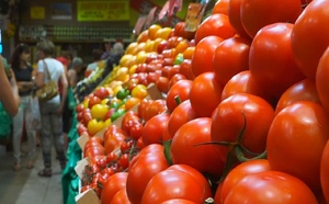 مراقبة الجودة والأسعار خلال شهر رمضان بمدينة الجديدة