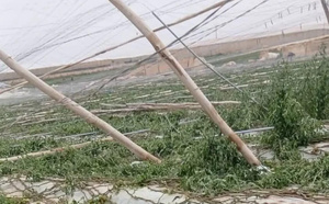 بعد العاصفة الرملية… إجراءات حكومية عاجلة لإنقاذ فلاحي اشتوكة أيت باها