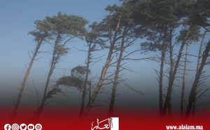 تحذير من رياح قوية وطقس بارد يومي الإثنين والثلاثاء